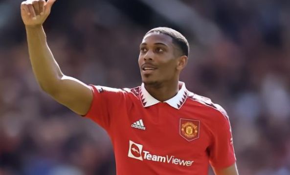 仅提高了团 仅提高了团